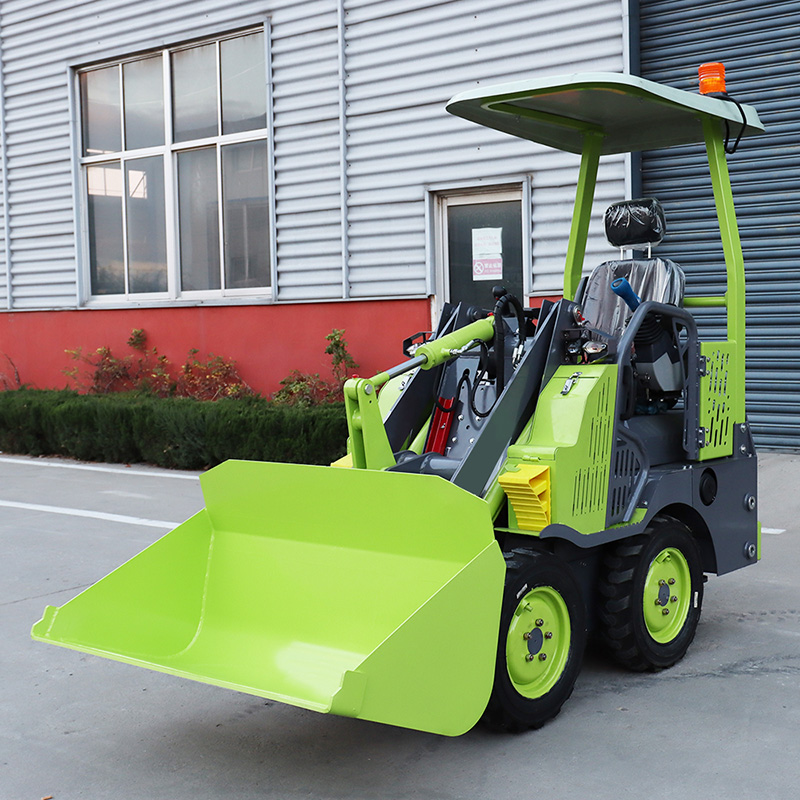 رافعة شوكية صغيرة