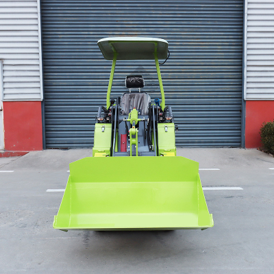 رافعة شوكية صغيرة