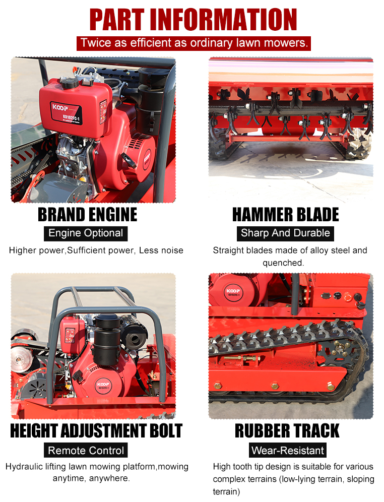 1761284505839530.jpg صفحة تفاصيل جيافو 800_05.jpg